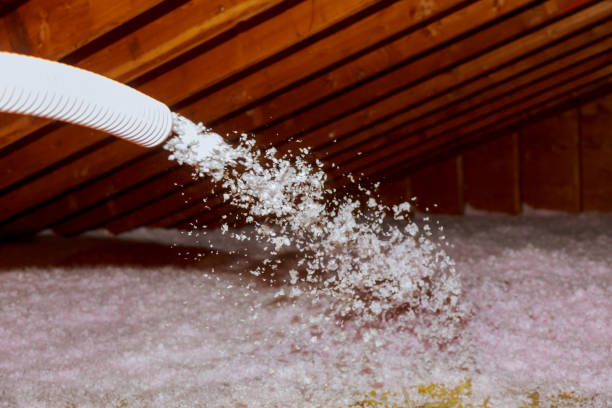 Professional Foam Insulation Services in Essex, IL